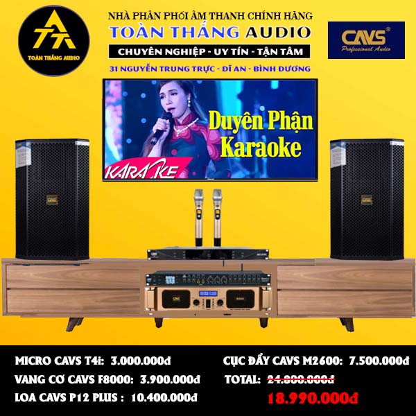 Dàn Karaoke Gia Đình TA03 | Toàn Thắng Audio